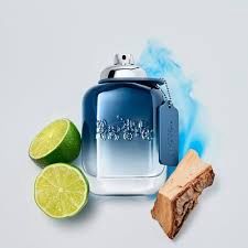 Men Blue 3.3 fl oz
