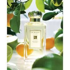 Lime Basil and Mandarin Cologne 1 fl oz