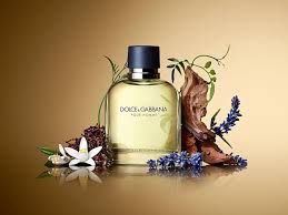 Pour Homme 4.2 fl oz