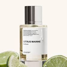 Citrus Marine (D&amp;G Light Blue) 1.7 fl oz