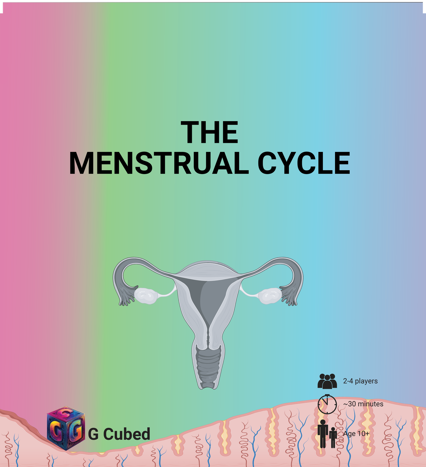 The Menstrual Cycle