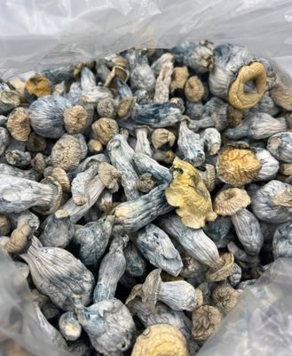 MAGIC MUSHROOMS(Ounces)