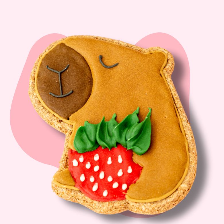 Capibara strawberry