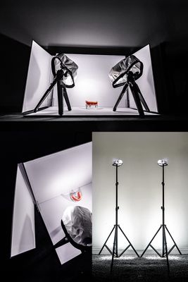 Mini Studio kit and 2 light sticks