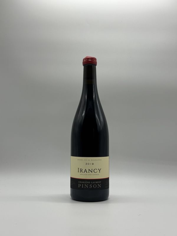 DOMAINE PINSON IRANCY 2019