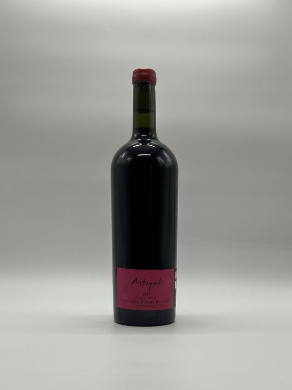 ANTIYAL CARMENERE 2017