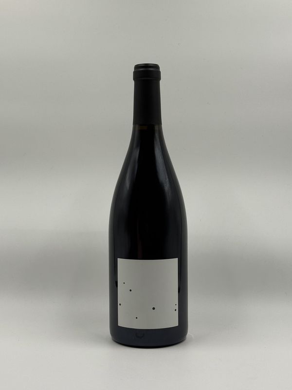 LA PLEIADE SHIRAZ