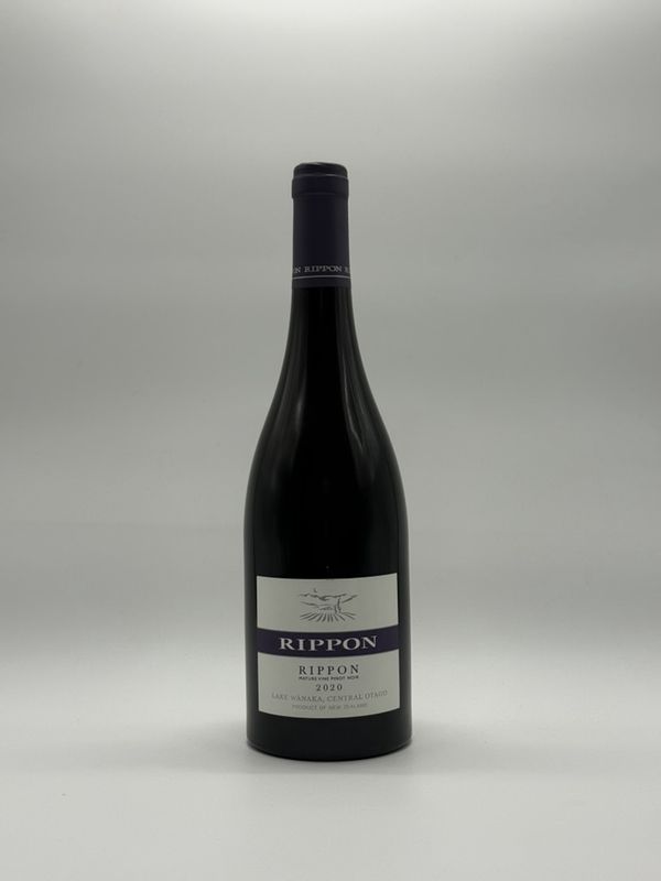 RIPPON MATURE VINE PINOT NOIR