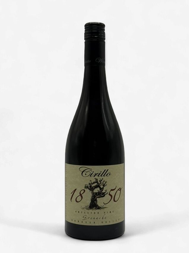 CIRILLO 1850 ANCESTOR VINE GRENACHE
