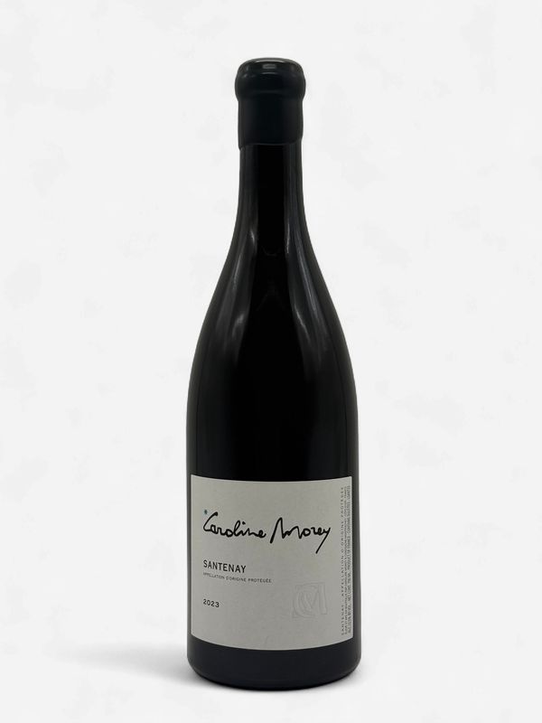 CAROLINE MOREY SANTENAY 2023