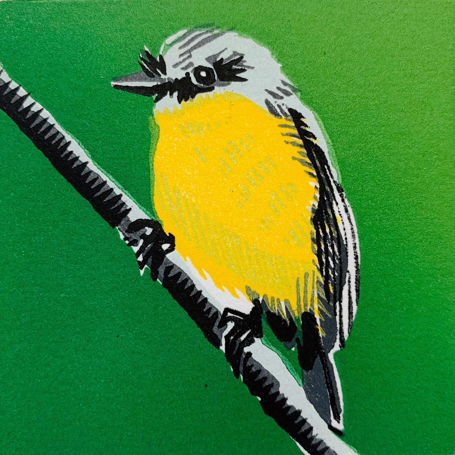 Eastern Yellow Robin