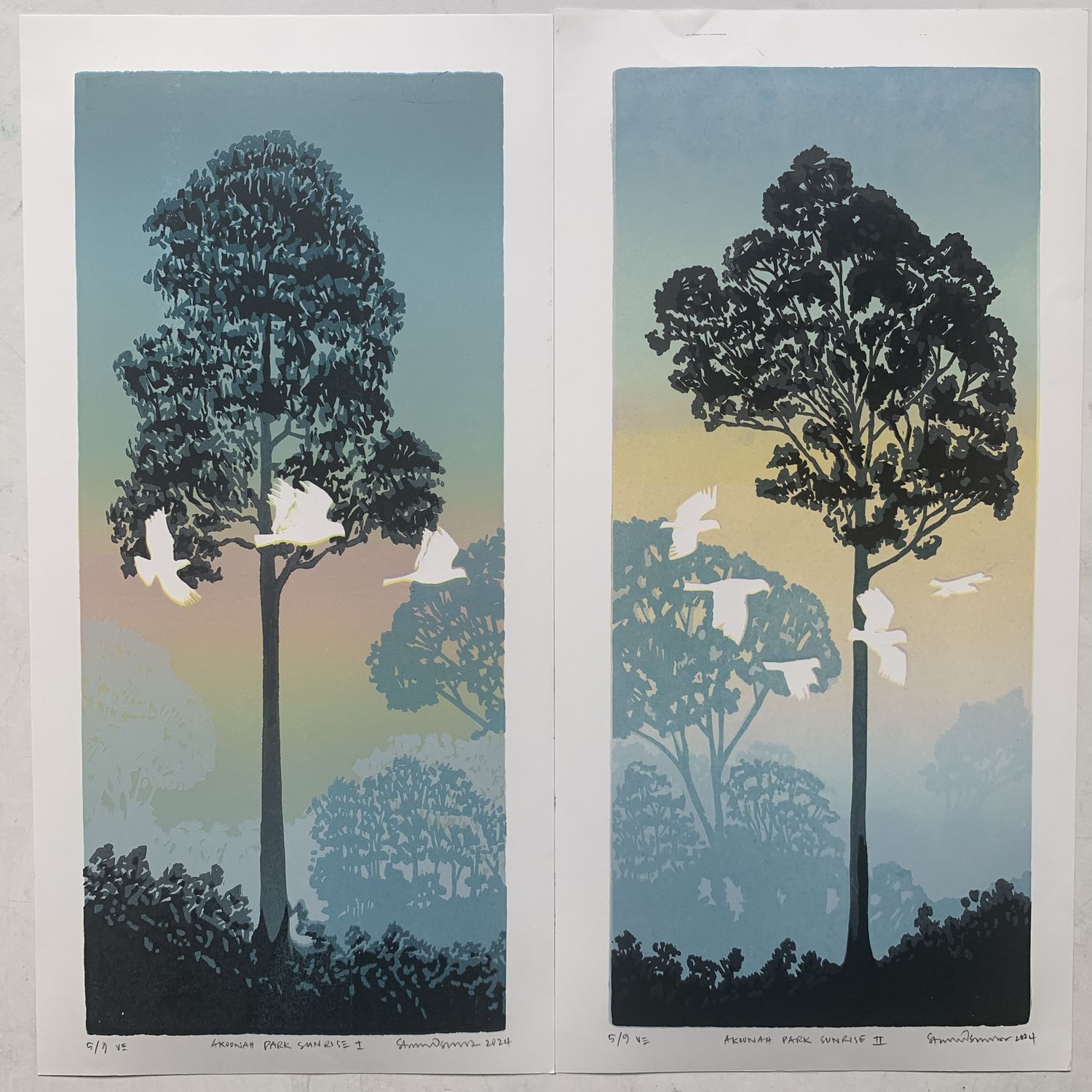 Akoonah Sunrise – Diptych