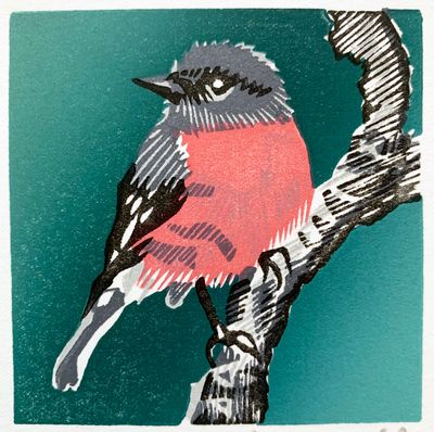 Pink Robin