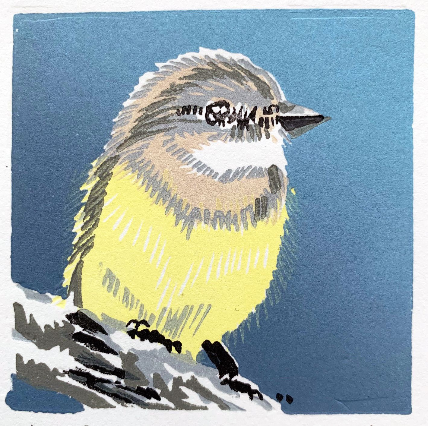 Pale Yellow Robin
