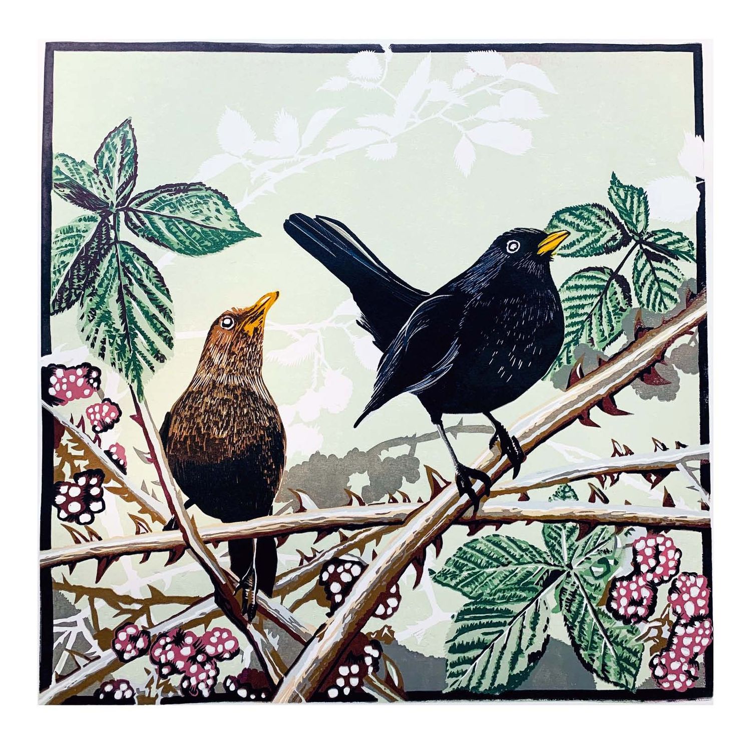 Birds and Berries