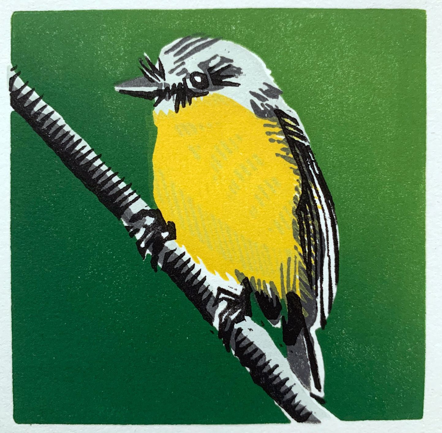 Eastern Yellow Robin