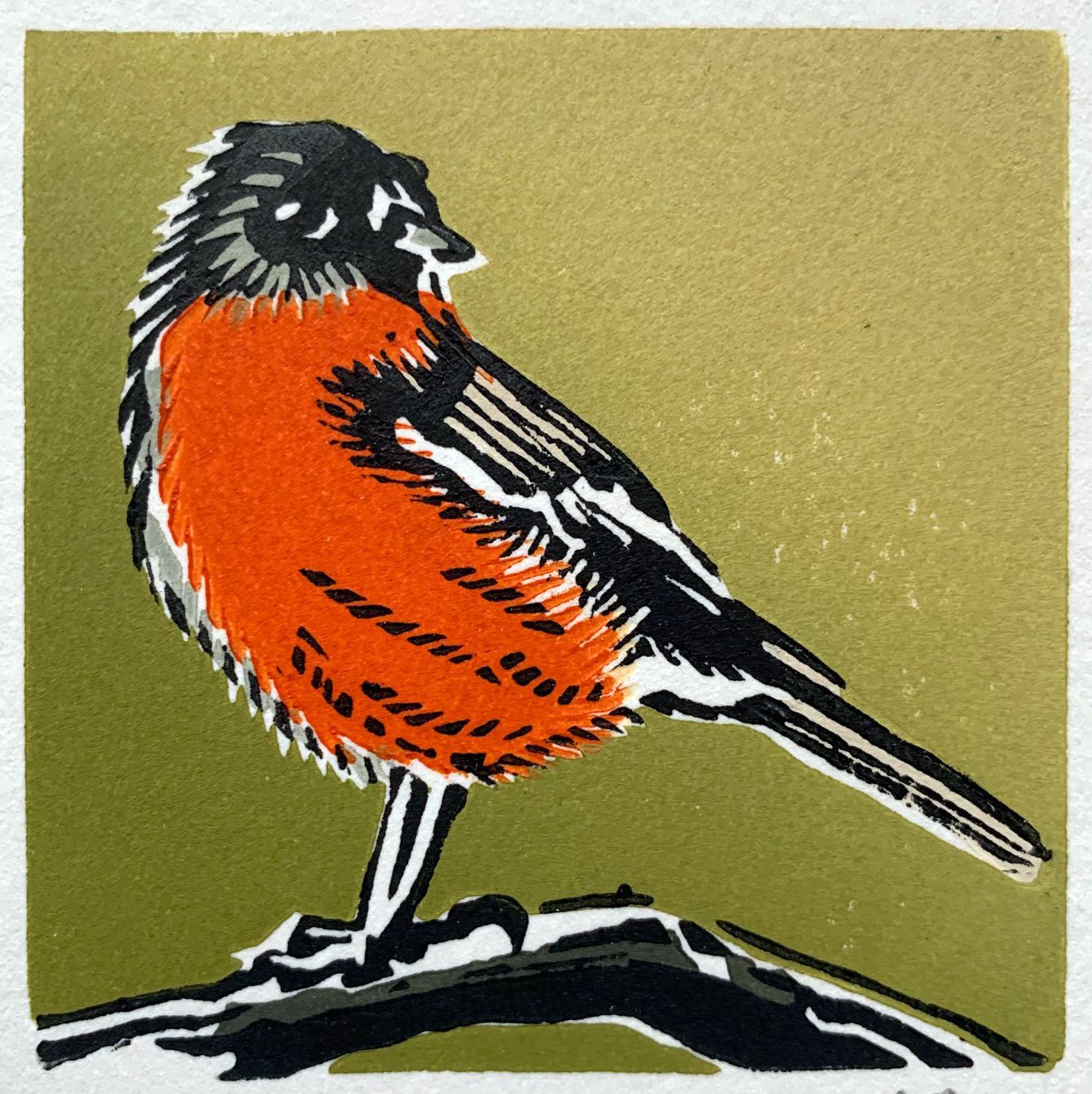 Flame Robin
