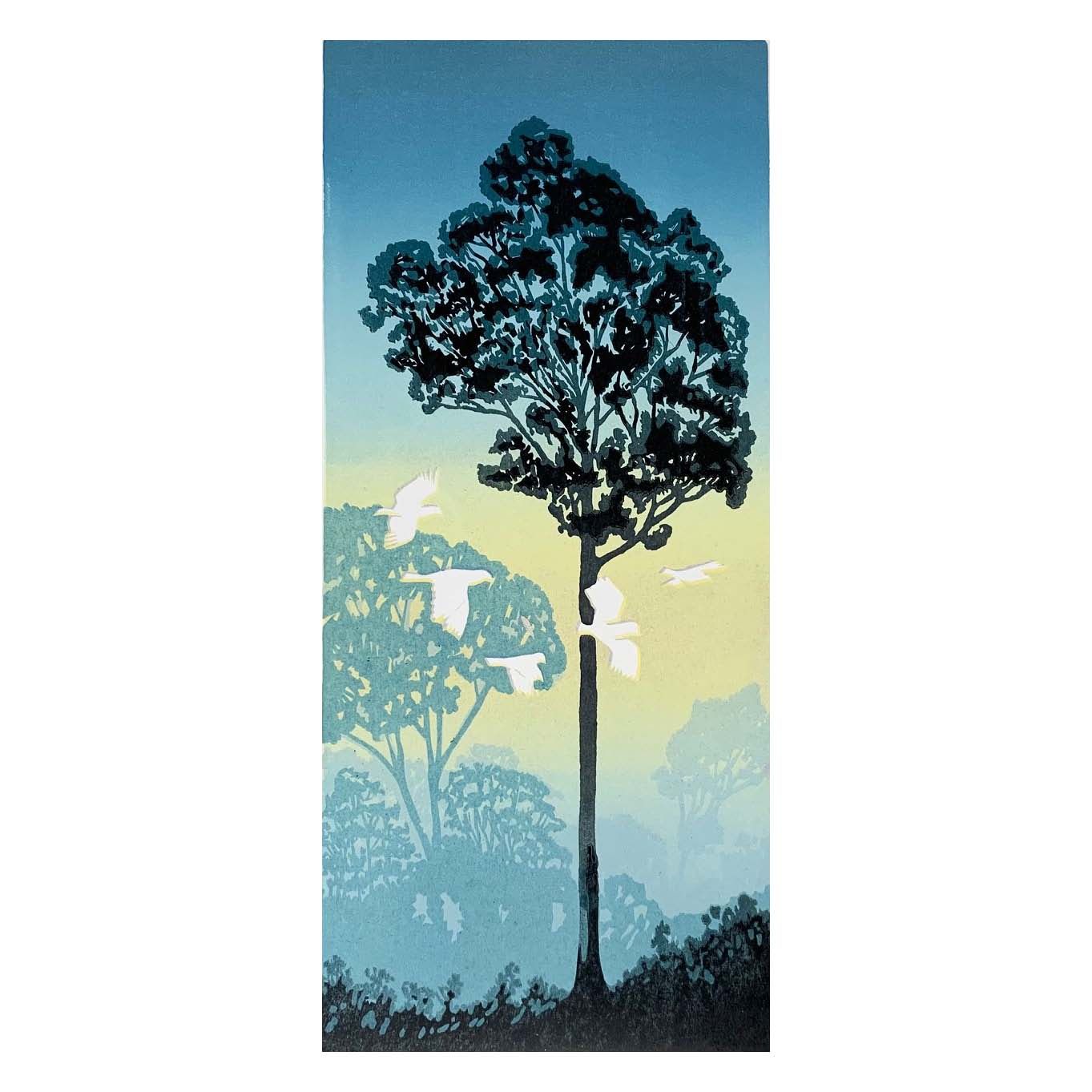 Akoonah Sunrise 2