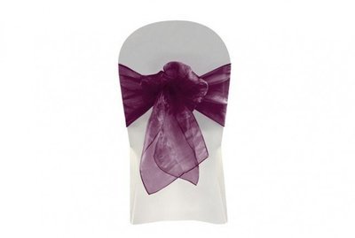Organza Chair Sash