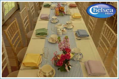 Table Linen &amp; Napkins