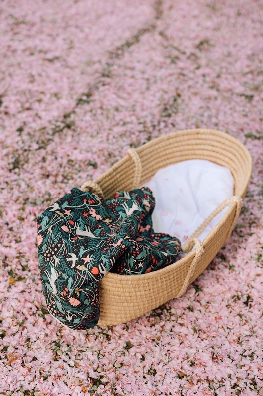 Plush blanket - Softness and warmth for baby