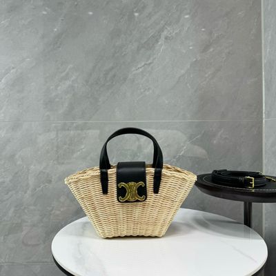 Celine women bag CEA01
