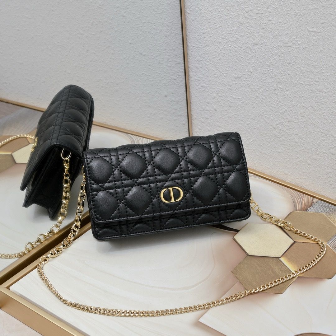 Dior women bag DOA20