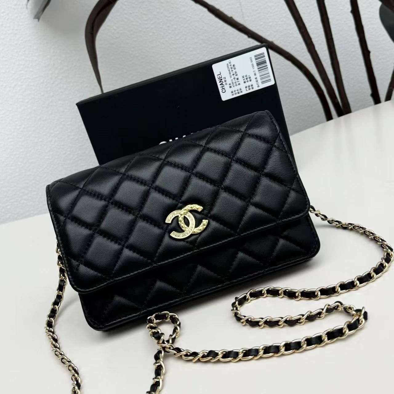Chanel women bag CAE07