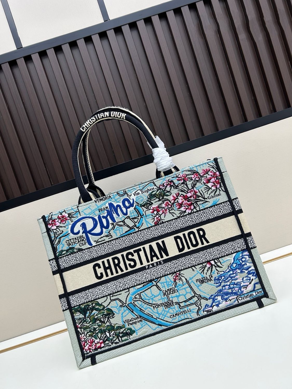 Dior women bag DOF06