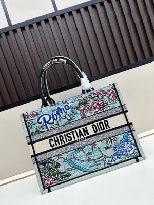 Dior women bag DOF06