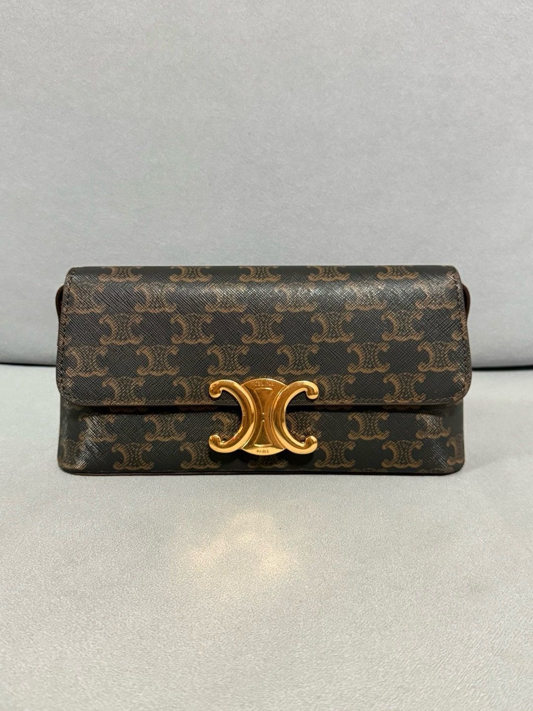 Celine women bag CEF03