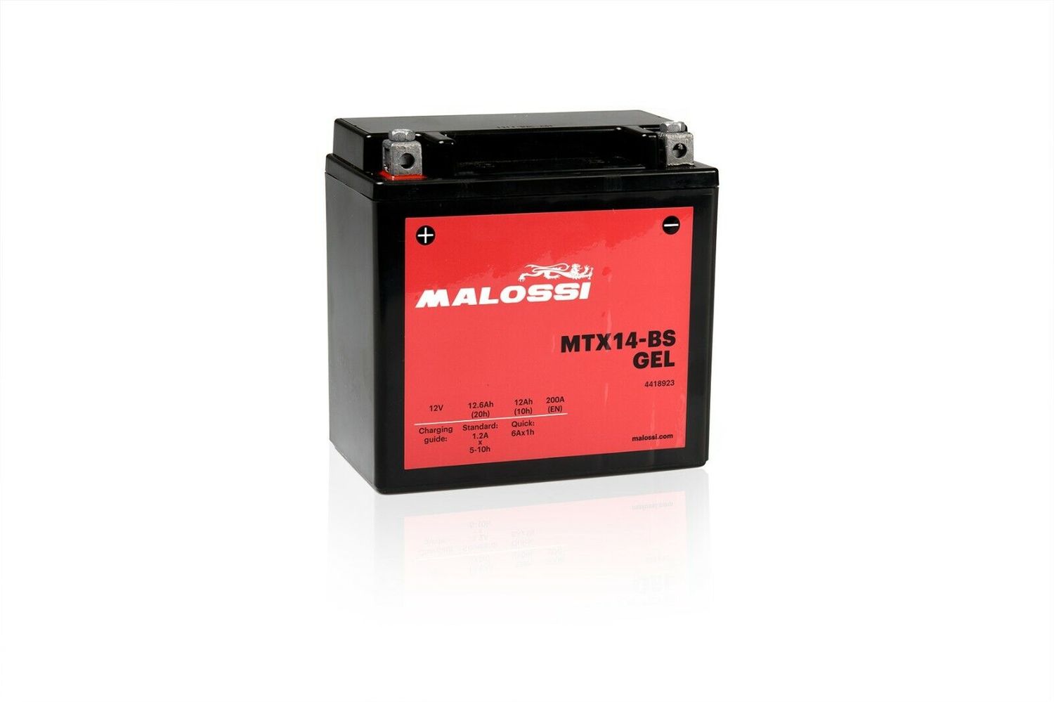BATTERIA GEL MALOSSI YTX14-BS PIAGGIO	MP3 HPE SPORT E5+	310	2024-2025