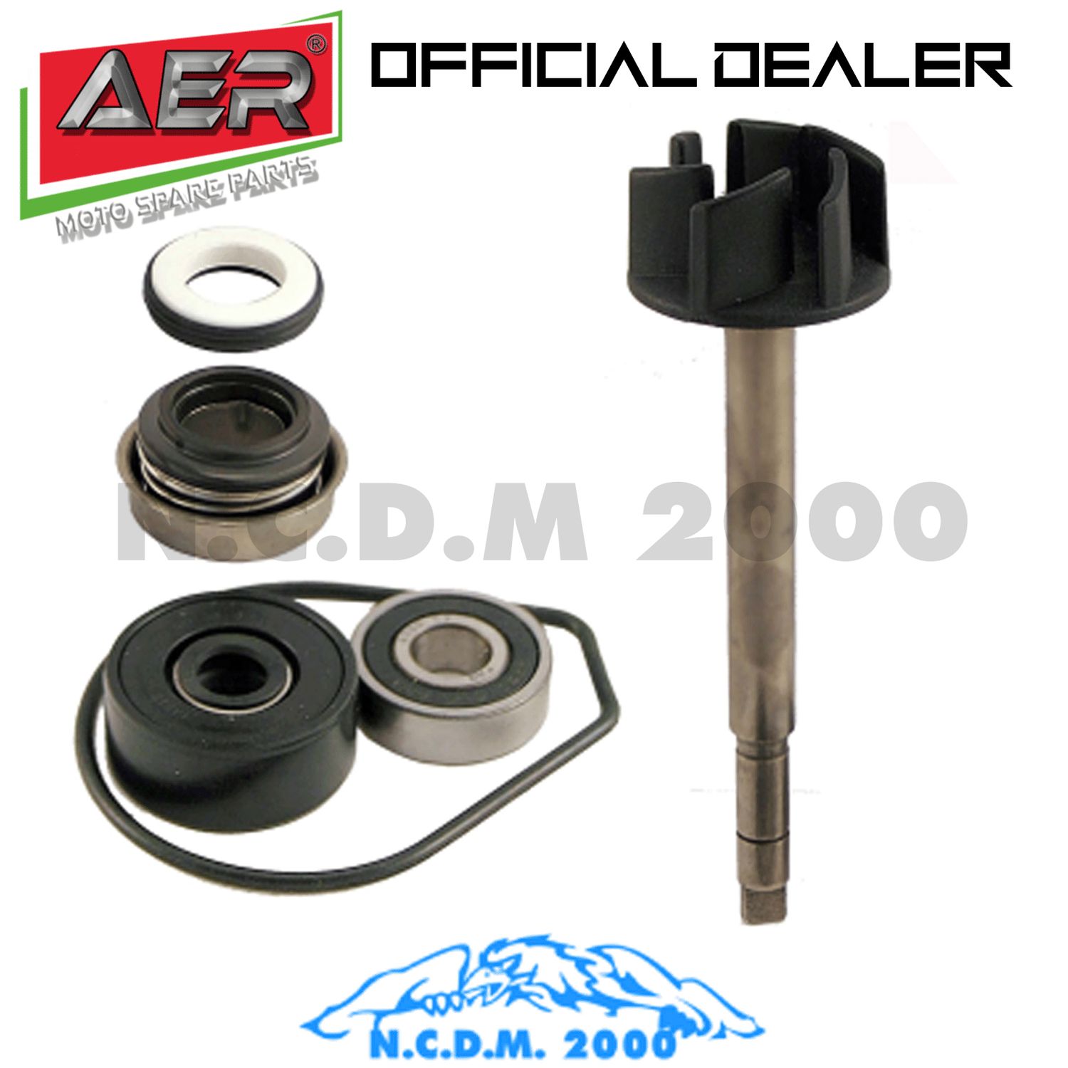 100110280 - KIT REVISIONE POMPA ACQUA YAMAHA MAJESTY 400CC 2004/2008