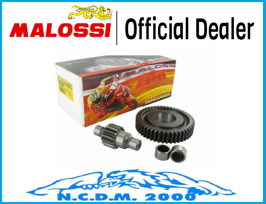 INGRANAGGI SECONDARI MALOSSI ROLLER GEAR Z 14 47 PIAGGIO ZIP SP 50 2T LC 2001-