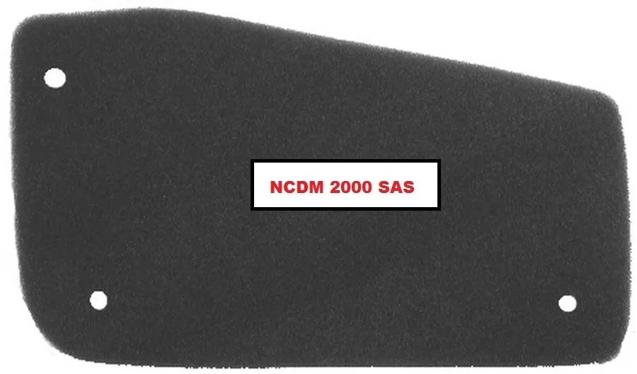 FILTRO ARIA 100600360 PEUGEOT 50 SV GEO 1991 1992 1993 1994 1995