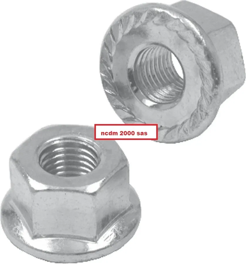 RMS 2 DADI RUOTA POSTERIORE BICI 3/8 421830020