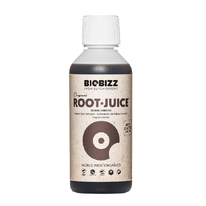 ROOT JUICE