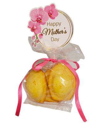 Bag of 3 Large Madeleines