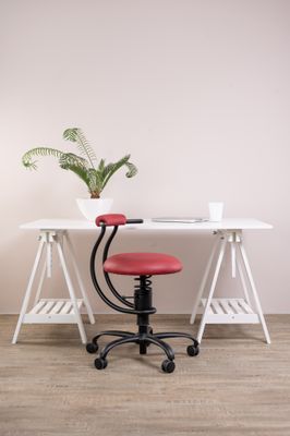 Krzesło SpinaliS SMART