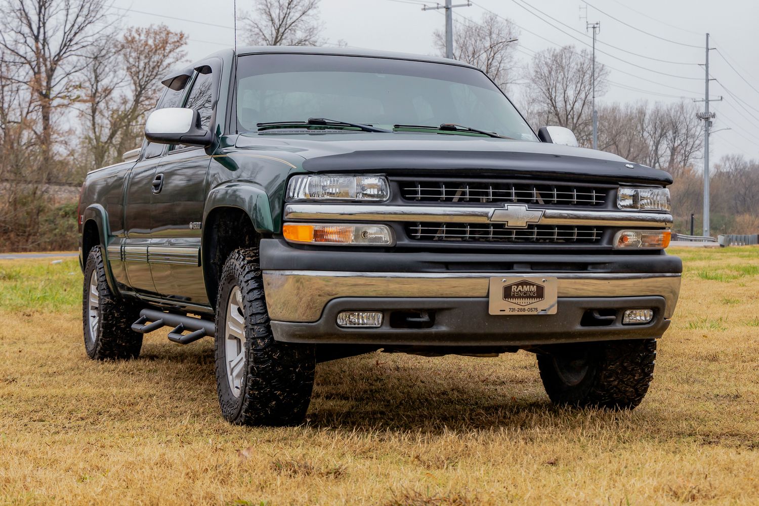 1999-2006 Chevy/GMC 1500 2WD/4WD Nerf Steps