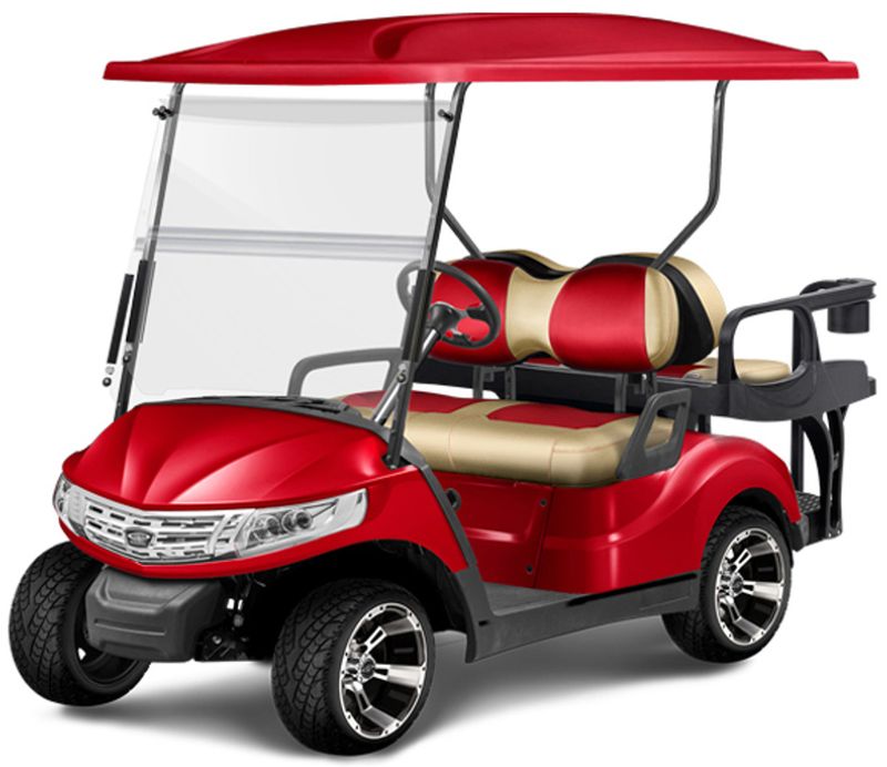 Double Take - Phoenix Golf Cart Body Kit - Choose Color and Model