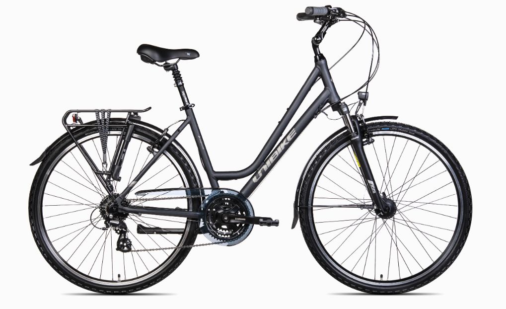 UNIBIKE Vision LDS M