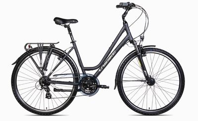 UNIBIKE Vision LDS M