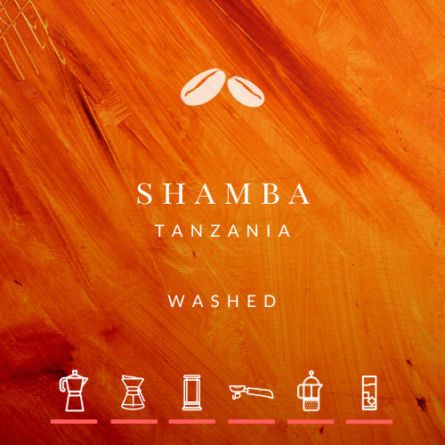 NEW! Tanzania Shamba Washed NEW! Tanzania Shamba Washed