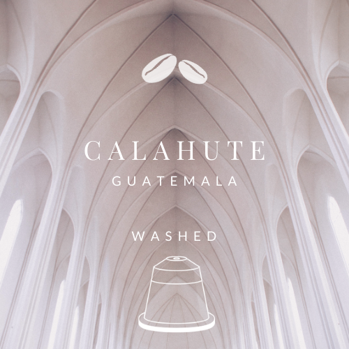 NEW! Guatemala Calahute Washed (20 Nespresso® Biodegradable & Compostable Capsules)