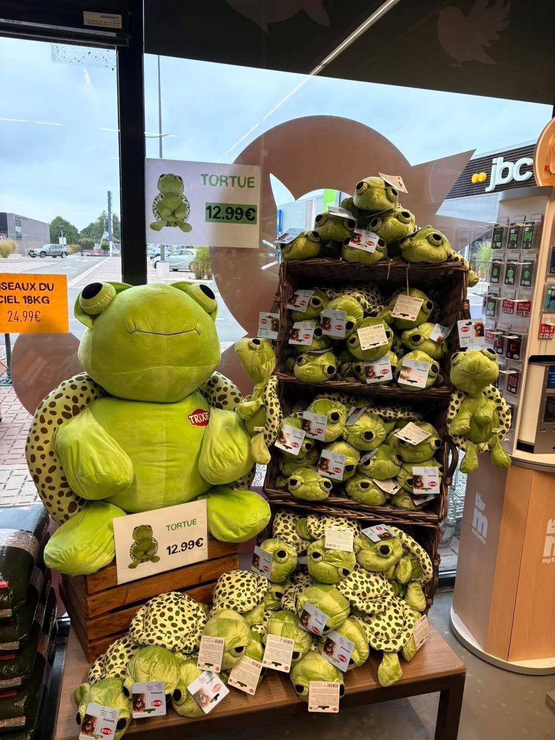 Peluche TORTUE géante