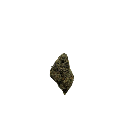 Blue Rhino (h)