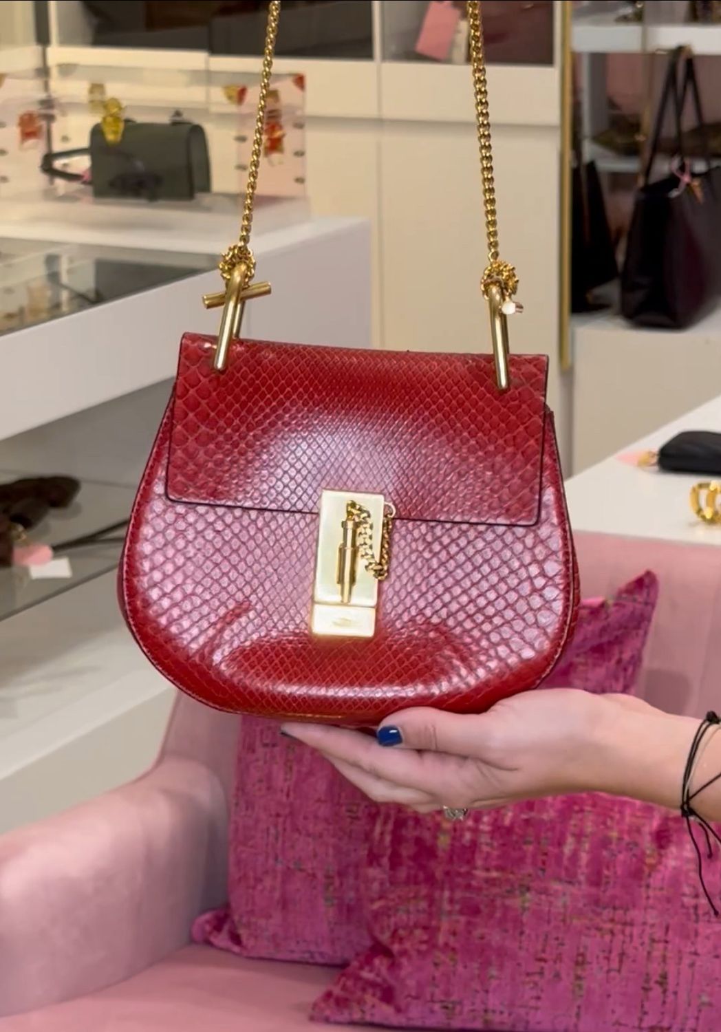 Chloe Drew Snakeskin Crossbody