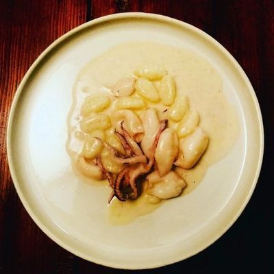 Primi: East Coast Small Calamari with Garlic &amp; Lemon Sauce and Classic Gnocchi
