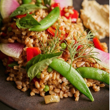 Summer Vegetarian Delight